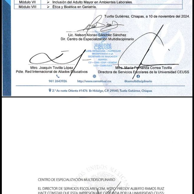 Ampliar imagen: certificate 4