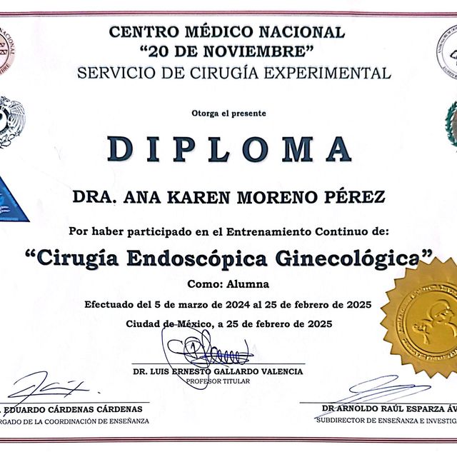 Ampliar imagen: certificate 3