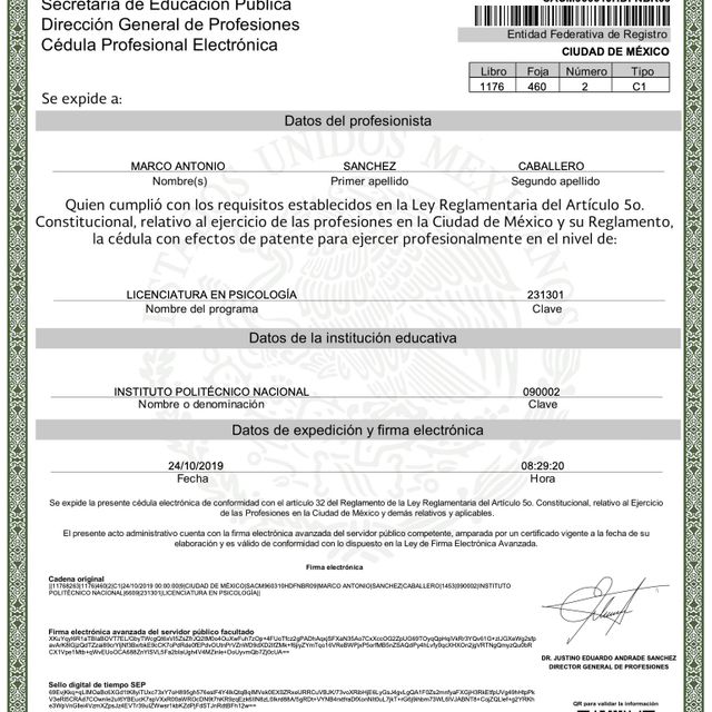 Ampliar imagen: certificate 2
