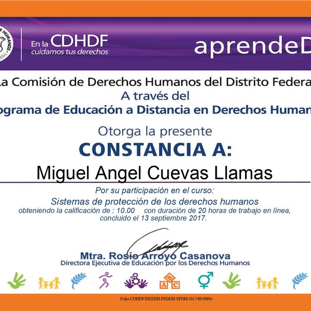 Ampliar imagen: certificate 25