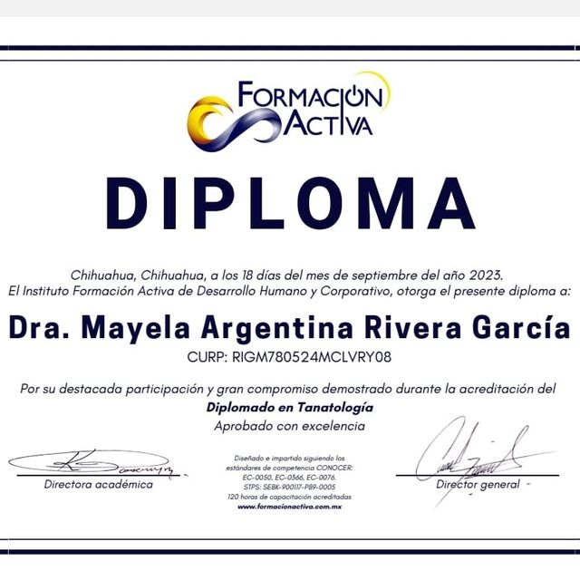 Ampliar imagen: certificate 3