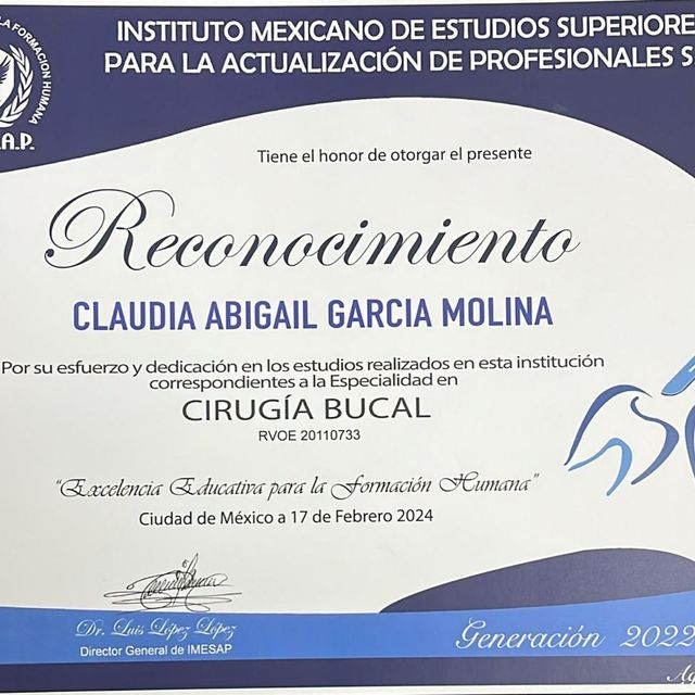 Ampliar imagen: certificate 8
