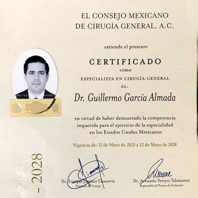 Ampliar imagen: certificate 2