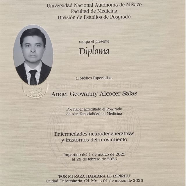Ampliar imagen: certificate 3
