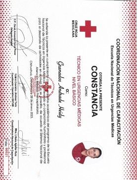 Ampliar imagen: certificate 1