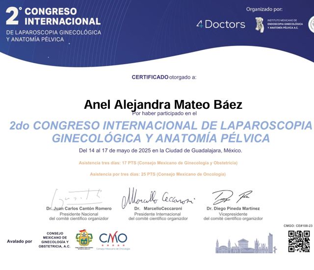 Ampliar imagen: certificate 5