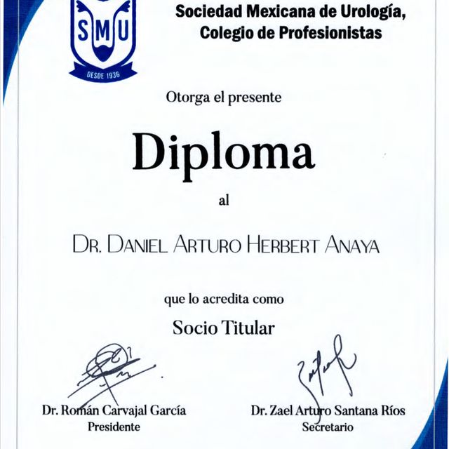 Ampliar imagen: certificate 3