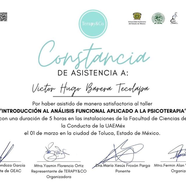 Ampliar imagen: certificate 41