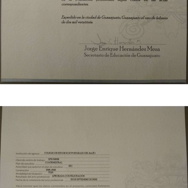 Ampliar imagen: certificate 3