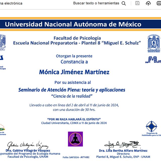 Ampliar imagen: certificate 6