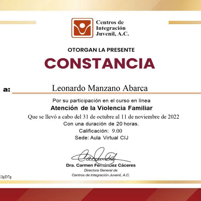 Ampliar imagen: certificate 7