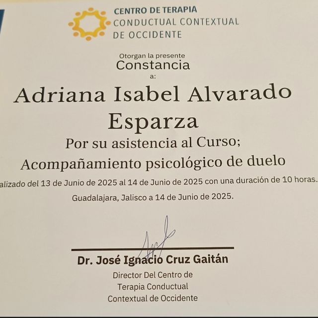 Ampliar imagen: certificate 3