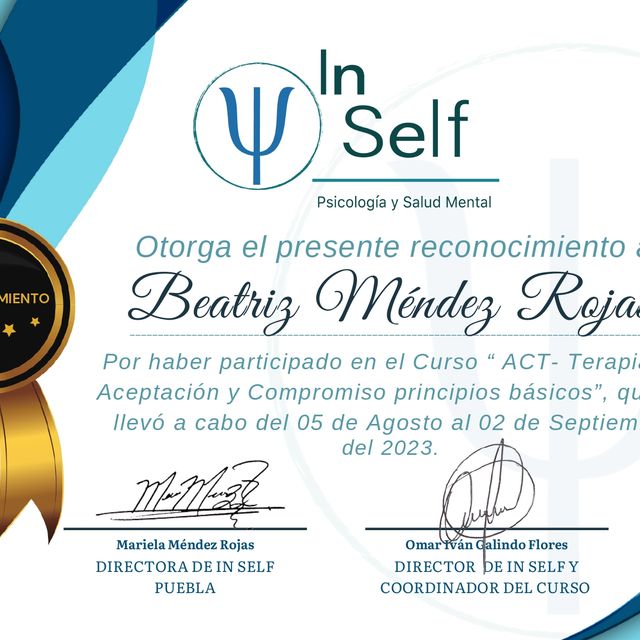 Ampliar imagen: certificate 1