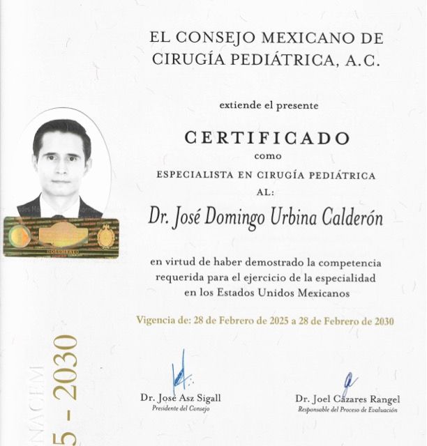 Ampliar imagen: certificate 2