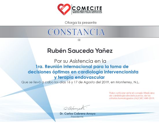 Ampliar imagen: certificate 27