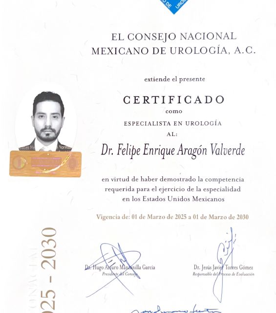 Ampliar imagen: certificate 1