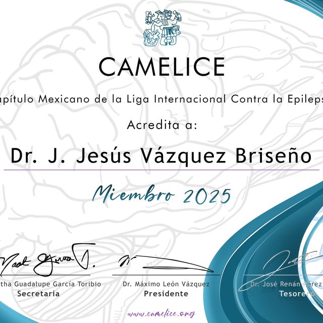 Ampliar imagen: certificate 13