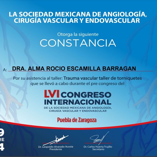 Ampliar imagen: certificate 2