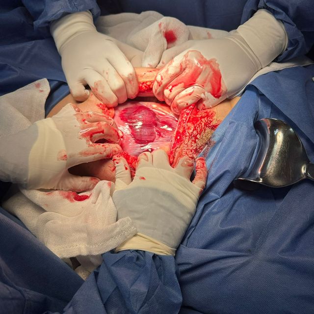 Ampliar imagen: certificate 27