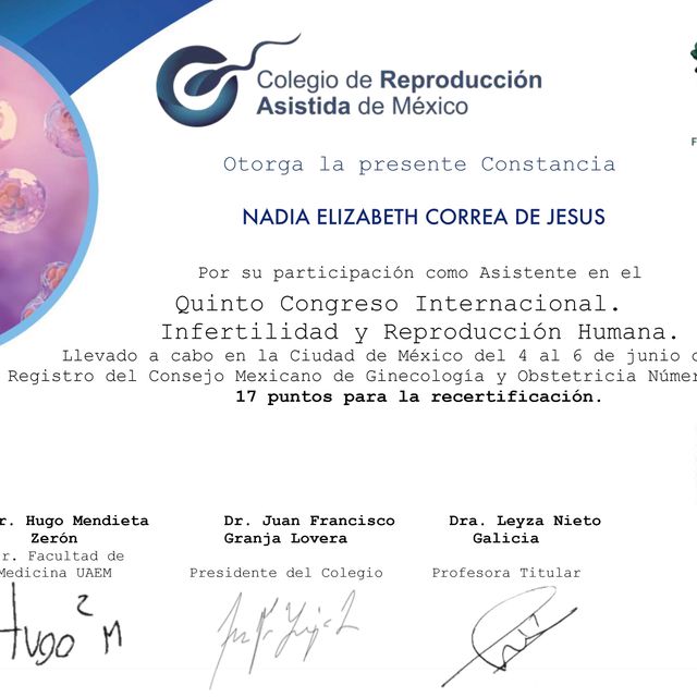 Ampliar imagen: certificate 6