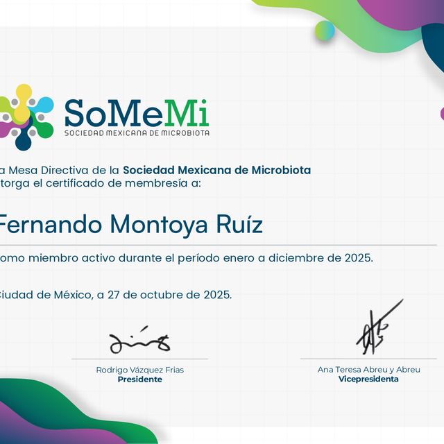 Ampliar imagen: certificate 2