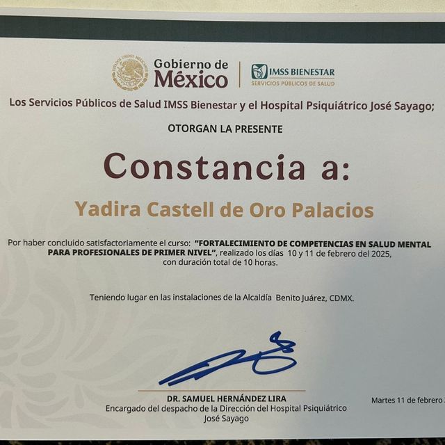 Ampliar imagen: certificate 6