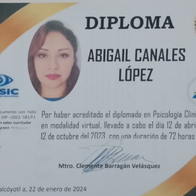 Ampliar imagen: certificate 1