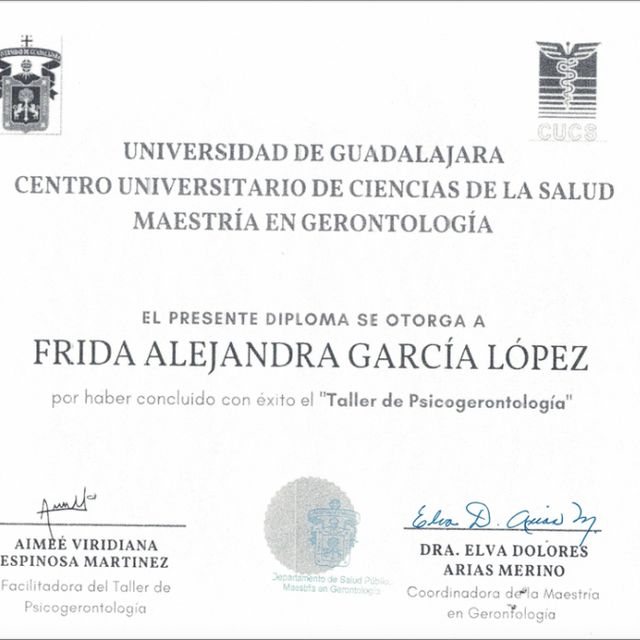 Ampliar imagen: certificate 6