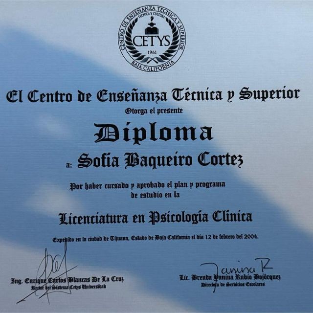 Ampliar imagen: certificate 1