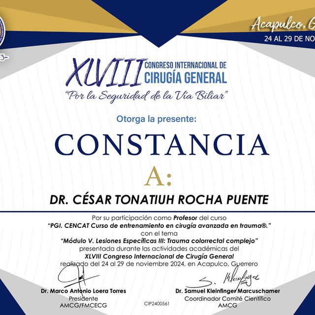 Ampliar imagen: certificate 37