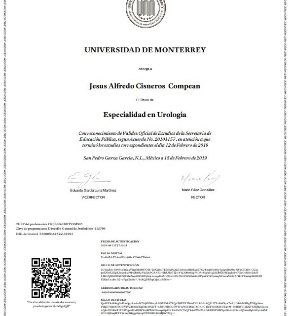 Ampliar imagen: certificate 5