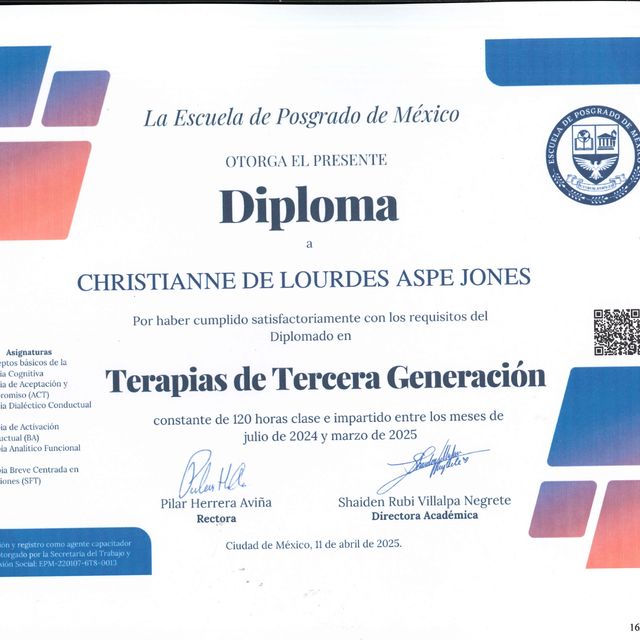 Ampliar imagen: certificate 9