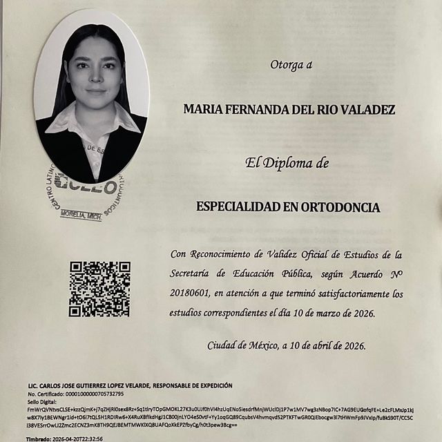 Ampliar imagen: certificate 3