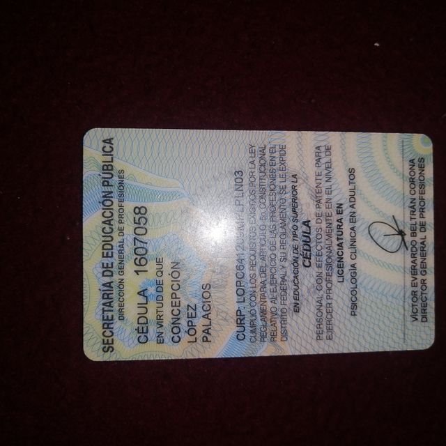 Ampliar imagen: certificate 12