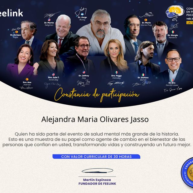 Ampliar imagen: certificate 10