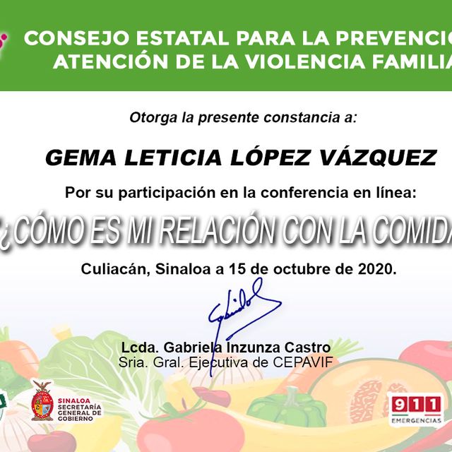 Ampliar imagen: certificate 13