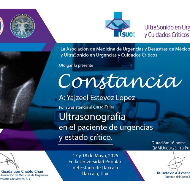 Ampliar imagen: certificate 3