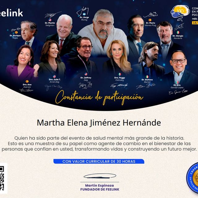 Ampliar imagen: certificate 8