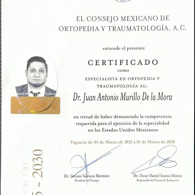 Ampliar imagen: certificate 1