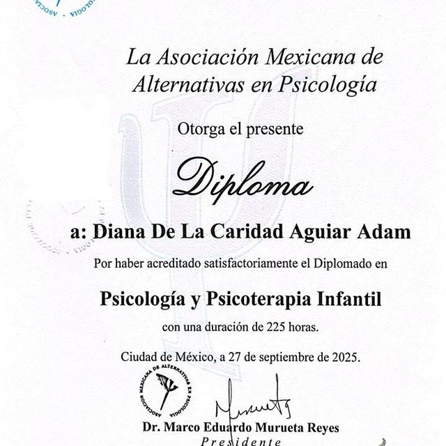 Ampliar imagen: certificate 1
