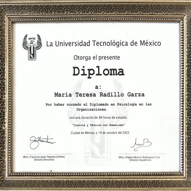 Ampliar imagen: certificate 2