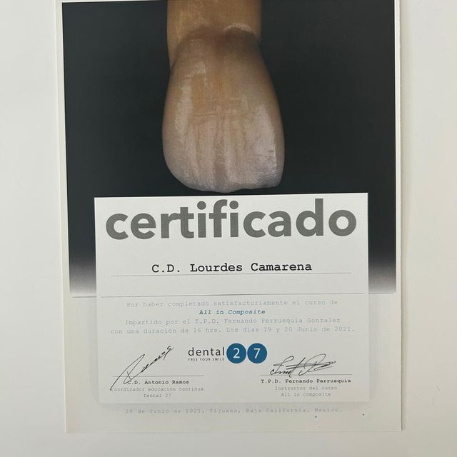 Ampliar imagen: certificate 11