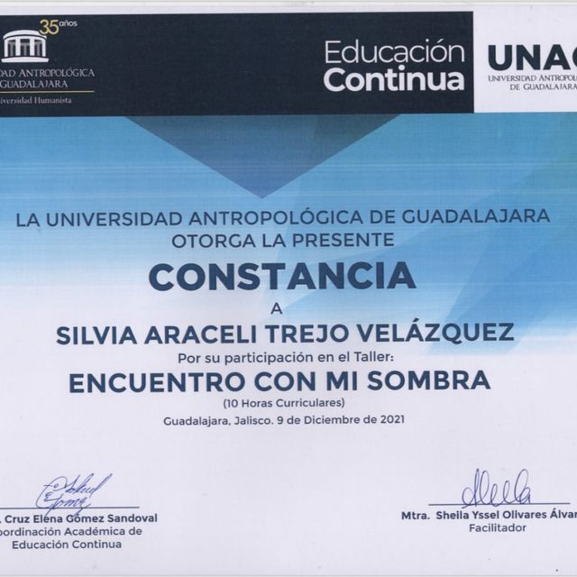 Ampliar imagen: certificate 9