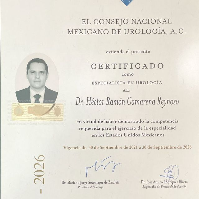 Ampliar imagen: certificate 1