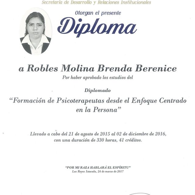Ampliar imagen: certificate 2