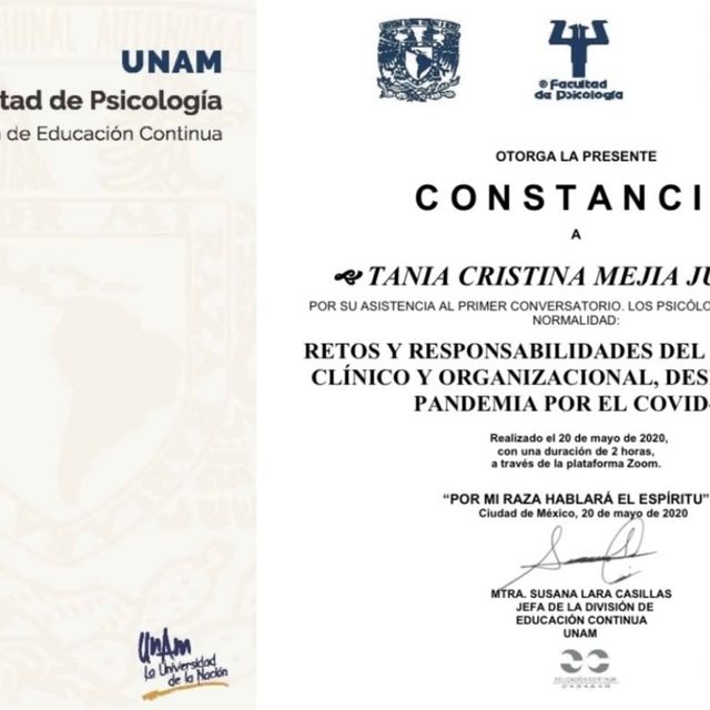 Ampliar imagen: certificate 9