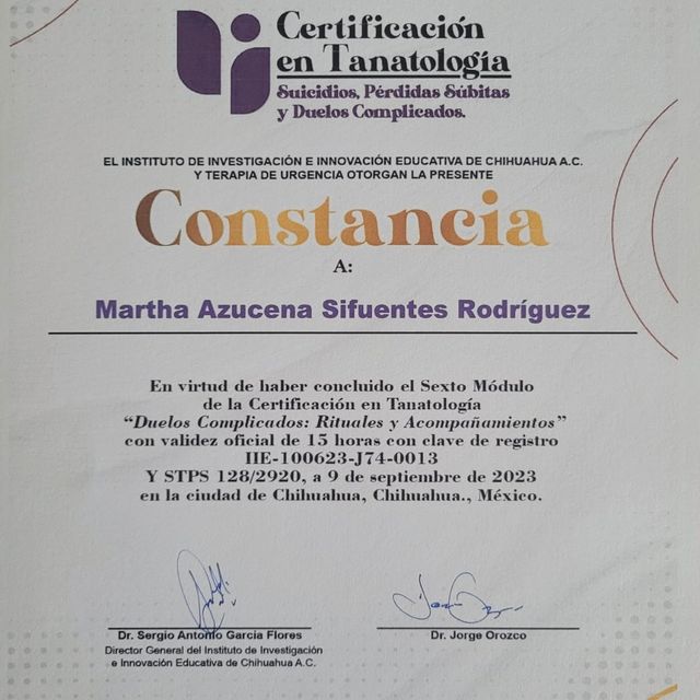Ampliar imagen: certificate 5