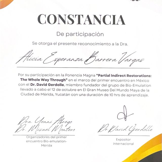 Ampliar imagen: certificate 11