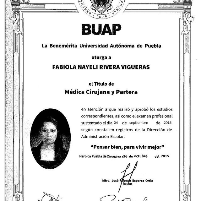 Ampliar imagen: certificate 5