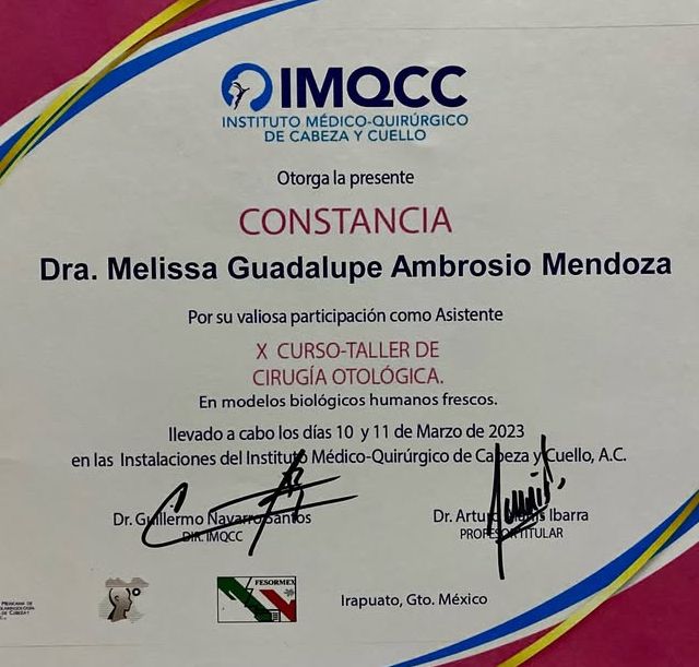 Ampliar imagen: certificate 5